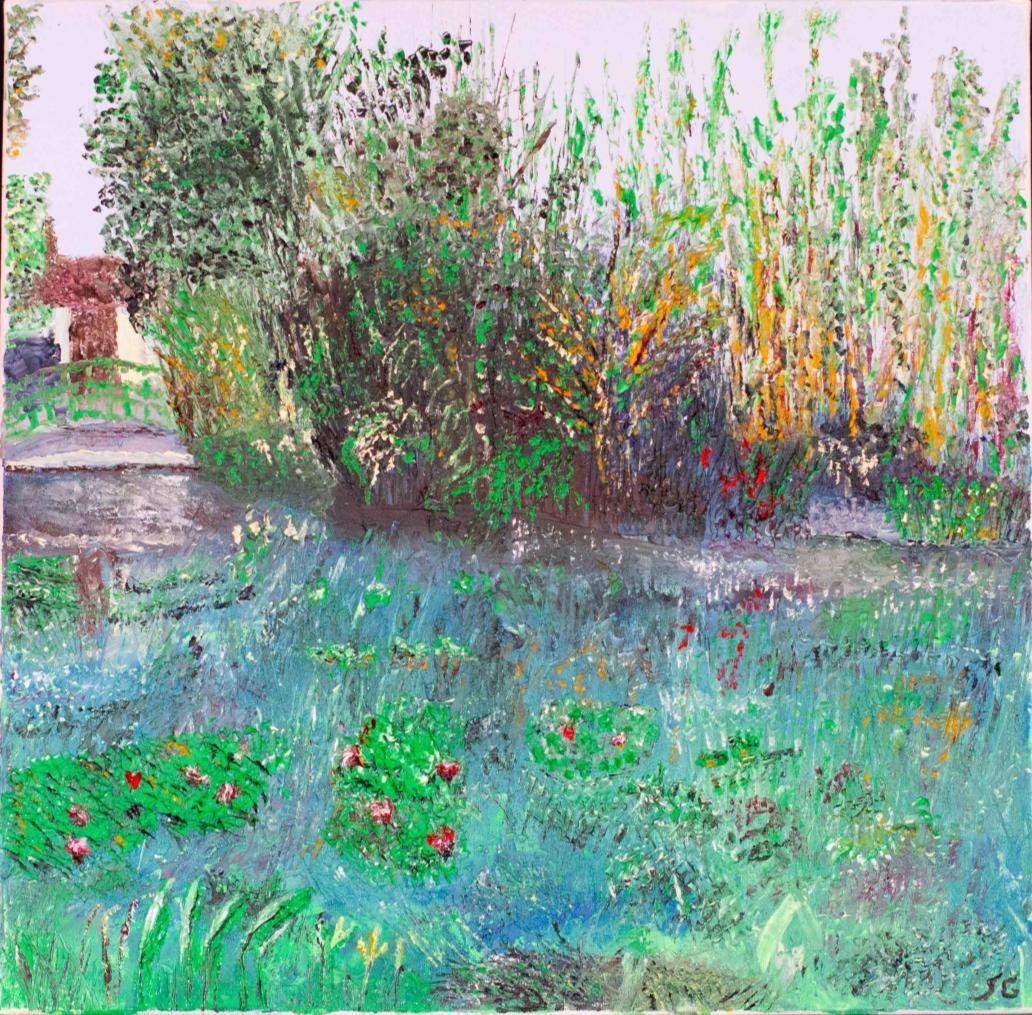 Reflets de couleur — Les nénuphars Latour-Marliac